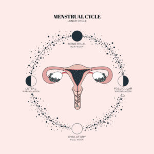 Menstrual and Moon Cycle